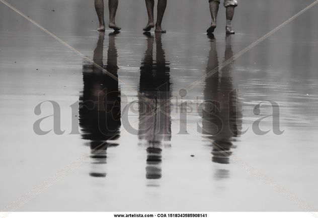 Reflejos