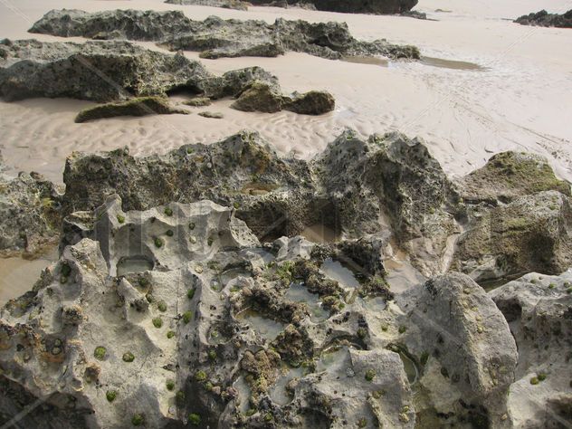 3 rocas