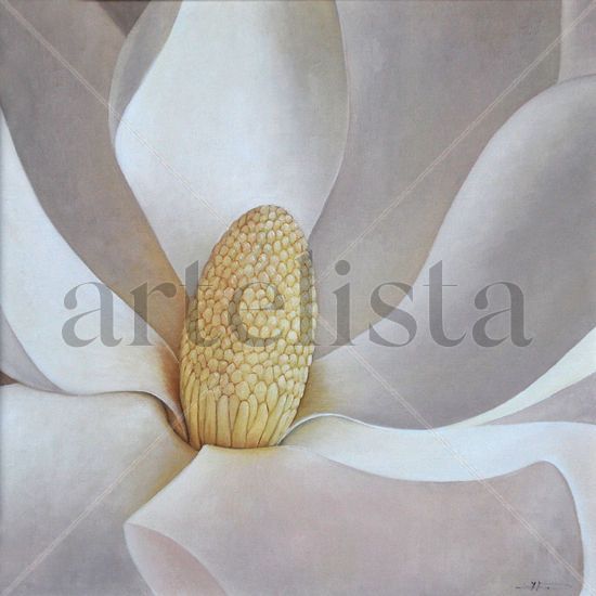 Magnolia Óleo Lienzo Floral