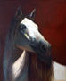 HORSE IN RED