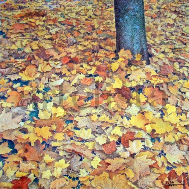 Otoño-1