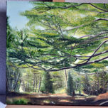 Paisajes thumbnail 1