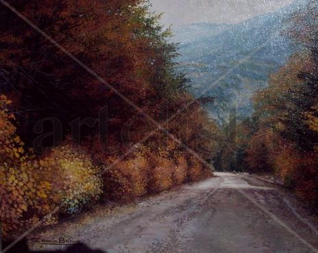 Otoño en Meliquina