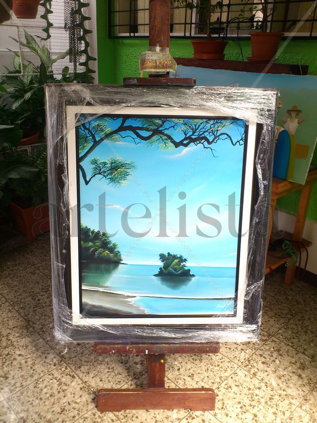 Playas de Manuel Antonio 3.
