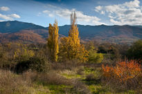 Otoño en Hervas