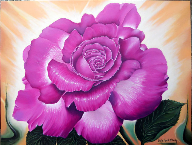 ROSA MAGENTA