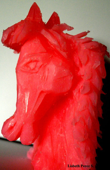 Galope