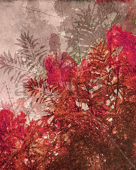 Decorative Leaves...