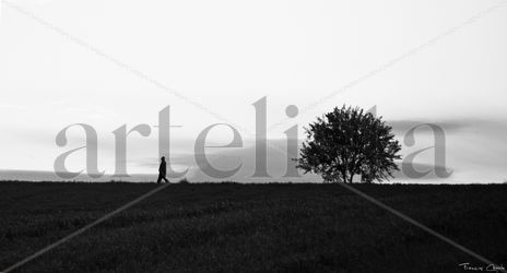 Caminos