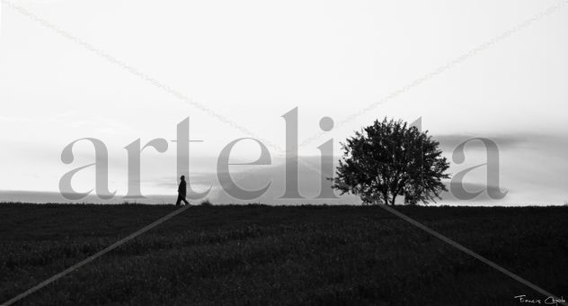 Caminos