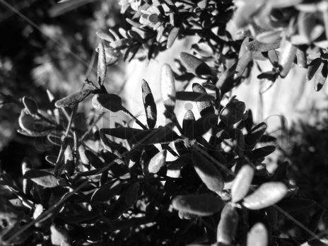 Tierra_04