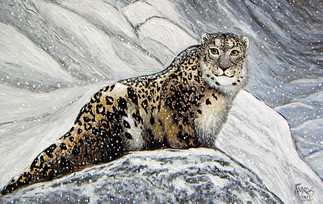 GATO DEL HIMALAYA Óleo Lienzo Animales