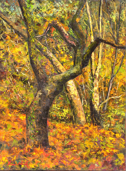 Bosc en temps de tardor. Oil Canvas Landscaping