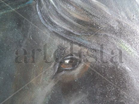 Caballo árabe