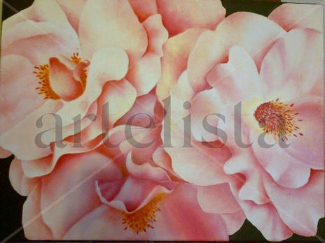 Varias rositas rosadas