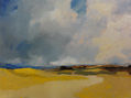 Campo de verano