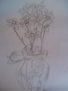 girasoles