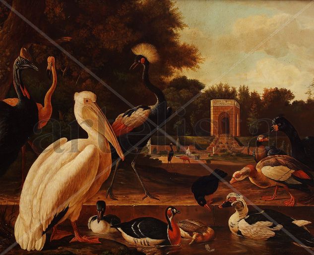 Aves Oil Canvas Animals