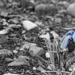 Naturaleza thumbnail 1