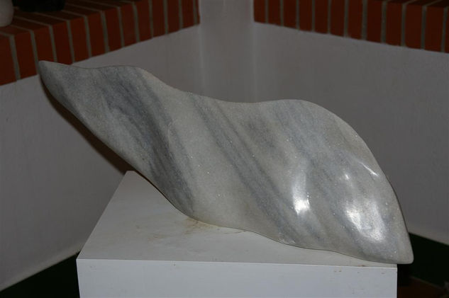 Fluye Piedra Figurativa