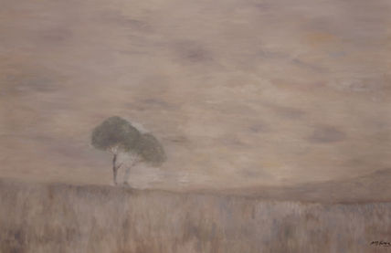 Niebla
