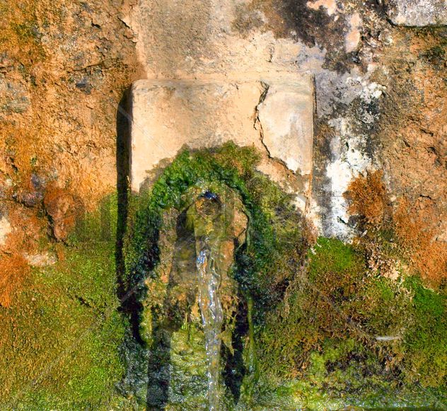 Font de Bruguera