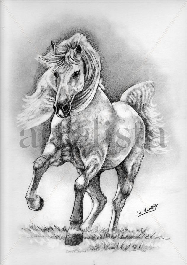 Caballo