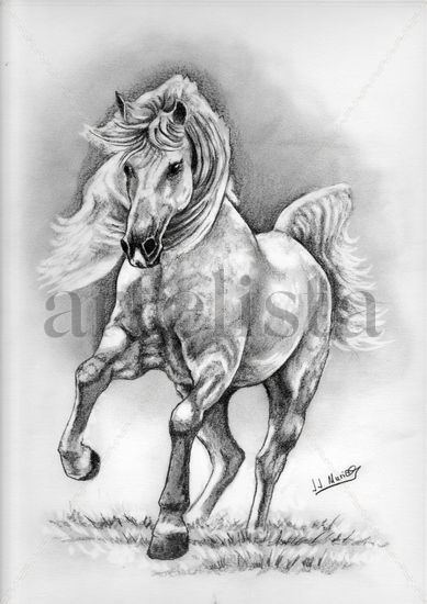 Caballo Pencil