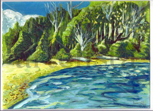 Paisaje de Bariloche Lago Escondido Acrylic Card Landscaping