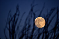 Luna de atardecer