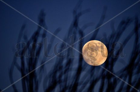 Luna de atardecer