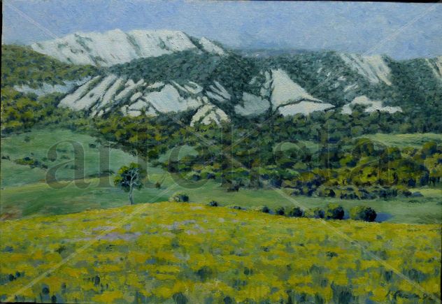 PAISAJE EN EL CAMPING