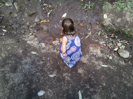 Descubriendo