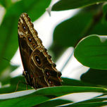 NATURALEZA thumbnail 2