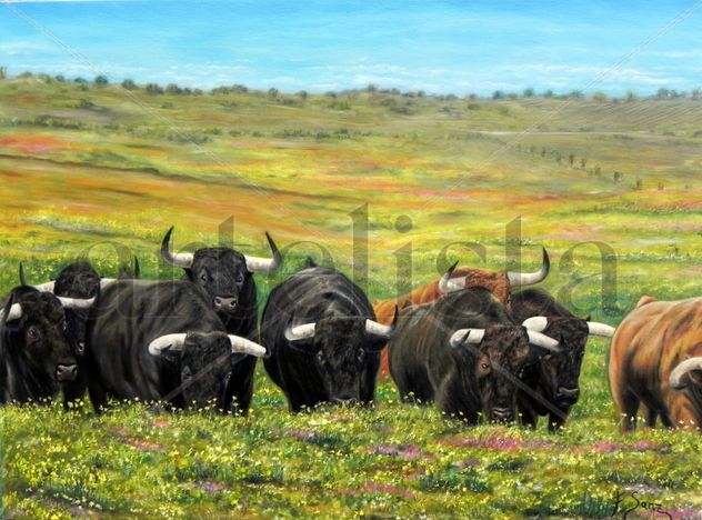 ESPAÑA TIERRA DE TOROS