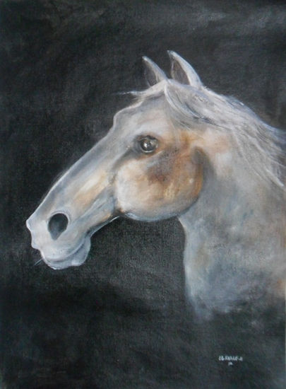 cheval arabe Oil Canvas Animals