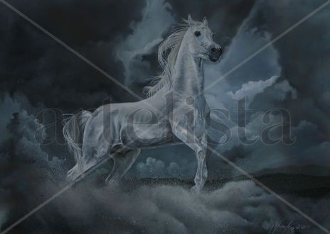 Tormenta en el...