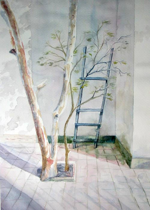escalera a ningun lado