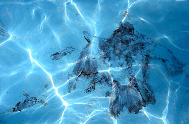 Bajo el agua