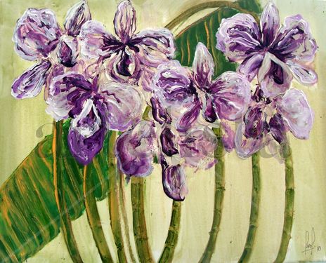 Orchids