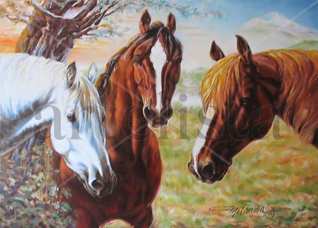 Tres caballos en el campo Oil Canvas Animals