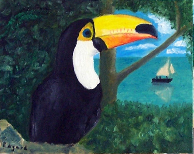 Toucan