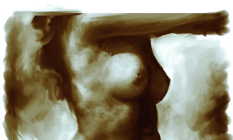Desnudos