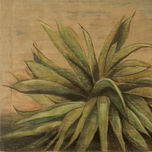 Memorias de Oaxaca thumbnail 1