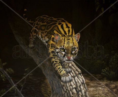 Ocelote en MET