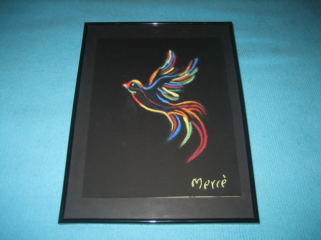 pajaro de colores