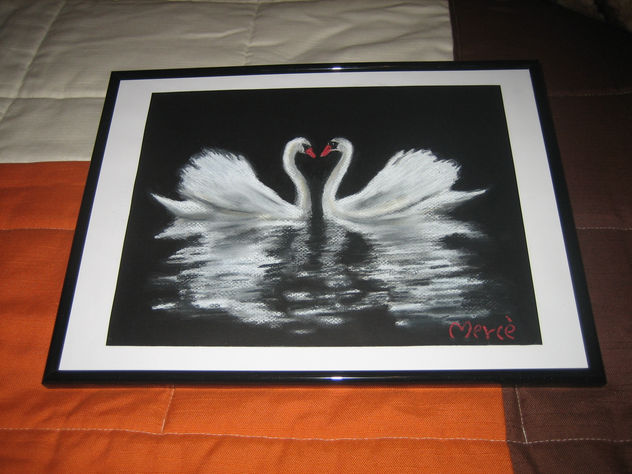 CISNES