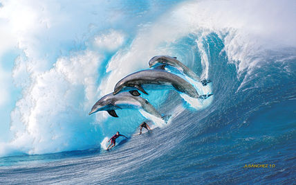 Surfing