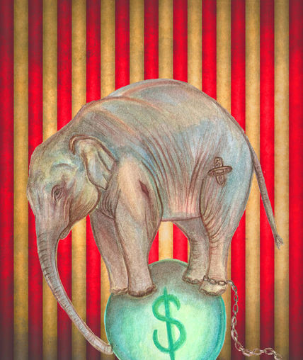 Circo sin animales