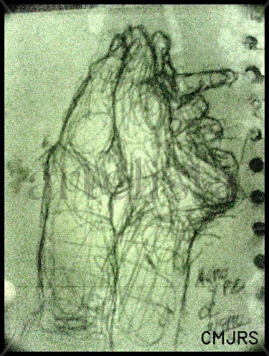 Boceto